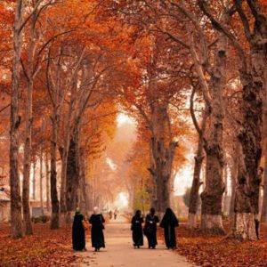 Women only Kashmir Autumn Trip